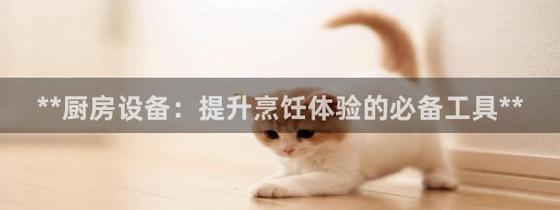 尊龙凯时取款24小时不到账：**厨房设备：提升烹饪体验的必备