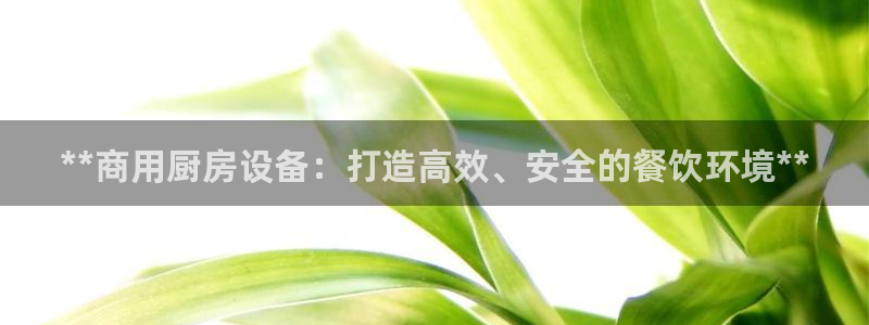 尊龙旗舰厅：**商用厨房