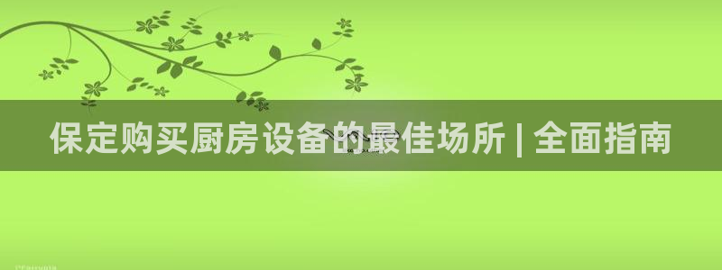 尊龙旗舰店：保定购买厨房设备的最佳场所 | 全面指南