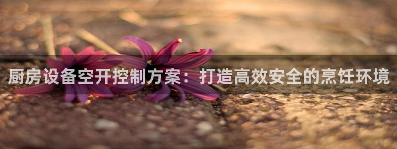 尊龙d88官网so问来就送38：厨房设备空开控制方案：打造高