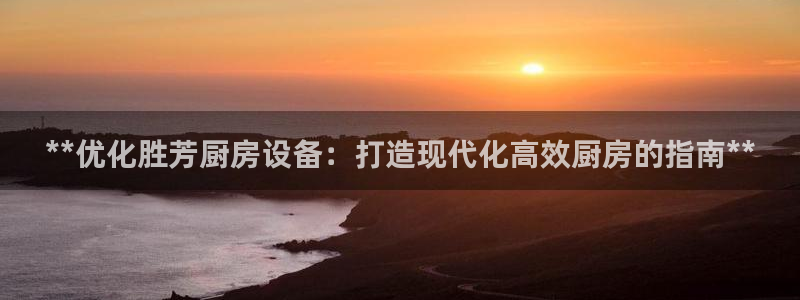 尊龙凯时输了100万：**优化胜芳厨房设备：打造现代化高效厨