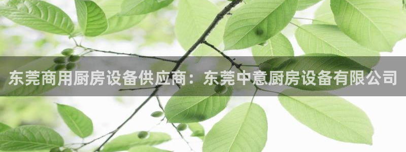 尊龙人品怎么样：东莞商用