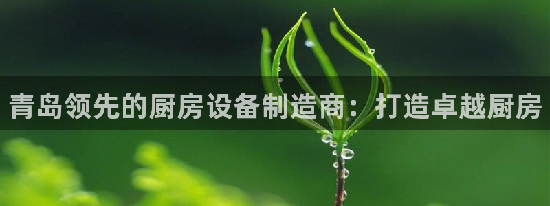 尊龙凯时平台怎么样：青岛领先的厨房设备制造商：打造卓越厨房