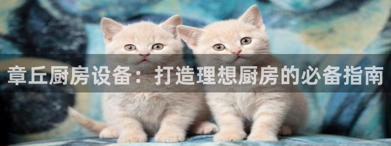 尊龙人生就是博电脑版