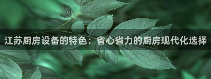 尊龙凯时福米推荐人：江苏厨房设备的特色：
