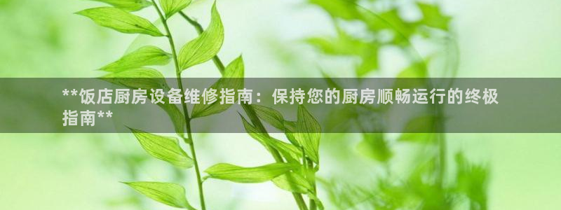 尊龙凯时app官方网站：**饭店厨房设备维修指南：保持您的厨