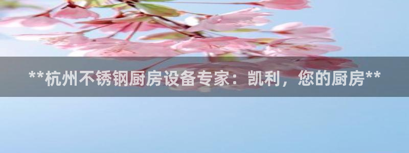 尊龙实业有限公司是正规还是仿：**杭州不锈钢厨房设备专家：凯