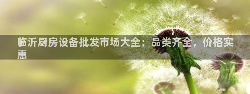 尊龙凯时充值不到账：临沂厨房设备批发市场