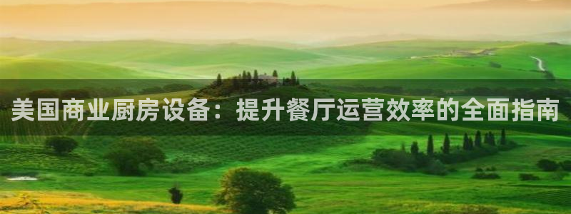 尊龙d88现金旧版本：美国商业厨房设备：提升餐厅运营效率的全
