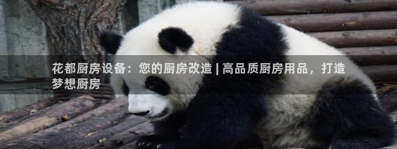 尊龙集团：花都厨房设备：您的厨房改造 | 高品质厨房用品，打