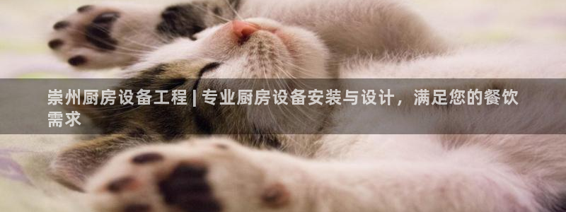尊龙凯时代理佣金发不发：崇州厨房设备工程 | 专业厨房设备安