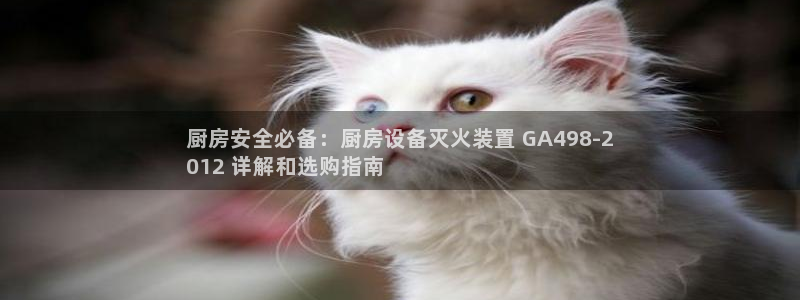 尊龙凯时一人生就是博官网：厨房安全必备：厨房设备灭火装置 G