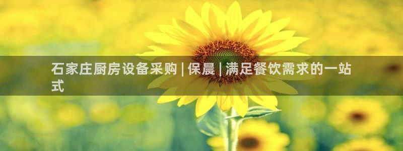 d88尊龙官方网：石家庄