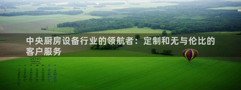 d88尊龙手机客户端下载：中央厨房设备行业的领航者：定制和无