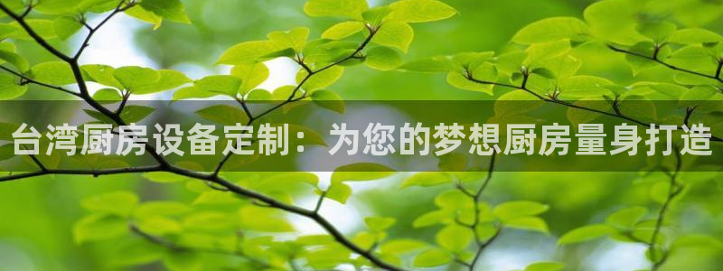 凯时官网手机版首页：台湾
