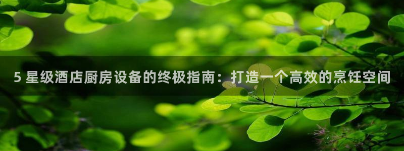 尊龙一人生就是搏：5 星级酒店厨房设备的终极指南：打造一个高