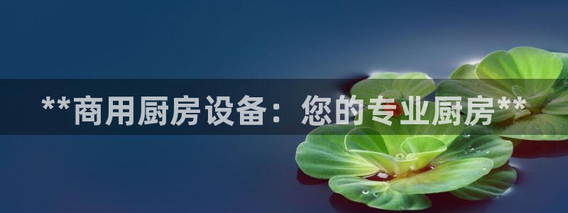 尊龙中国：**商用厨房设备：您的专业厨房**