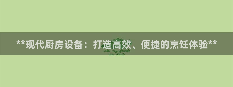 尊龙网站 人生就是博：**现代厨房设备：打造高效、便捷的烹饪