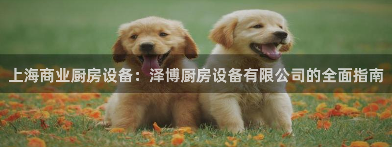 ag尊龙怎么样：上海商业厨房设备：泽博厨房设备有限公司的全面