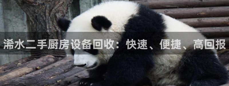 尊龙凯时法拉币：浠水二手厨房设备回收：快速、便捷、高回报