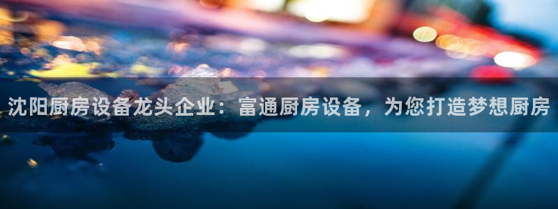 尊龙多少岁：沈阳厨房设备