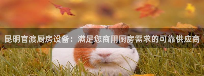 凯时网址多少：昆明官渡厨房设备：满足您商用厨房需求的可靠供应