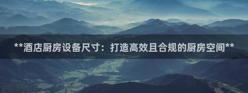 尊龙官网国际：**酒店厨房设备尺寸：打造