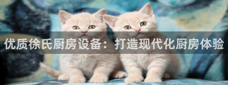 凯时旗舰厅App下载：优质徐氏厨房设备：