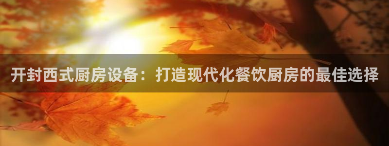 凯时ag旗舰厅登录：开封西式厨房设备：打造现代化餐饮厨房的最