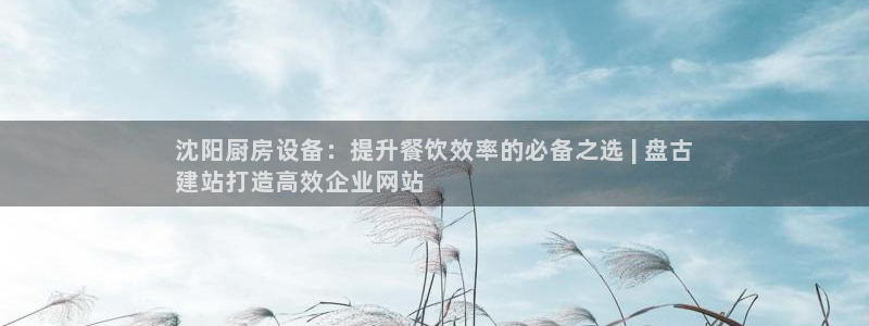 尊龙 中国：沈阳厨房设备：提升餐饮效率的必备之选 | 盘古
