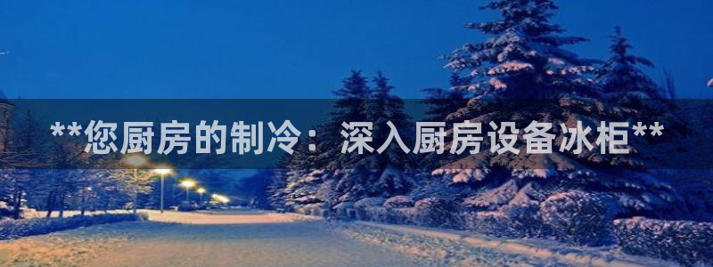 尊龙d88ag旗舰厅：**您厨房的制冷：深入厨房设备冰柜**