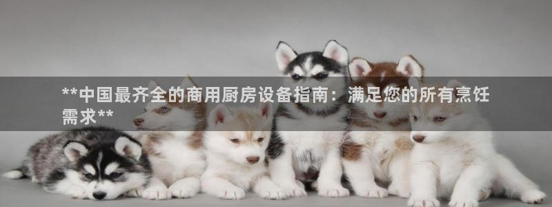 尊龙ag旗舰厅官网官方入口：**中国最齐全的商用厨房设备指南