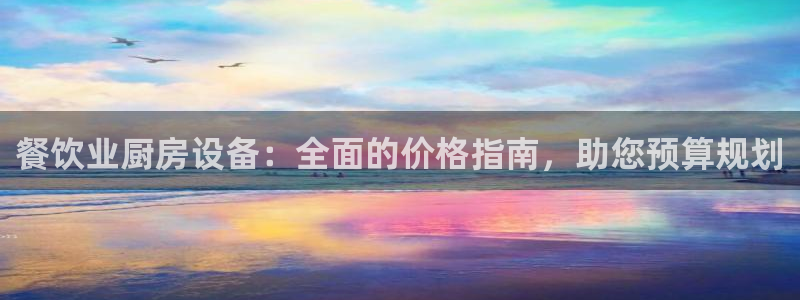 尊龙凯时人生就是搏官：餐饮业厨房设备：全