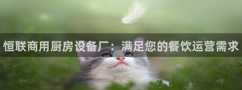 尊龙人生就是博i可靠吗：恒联商用厨房设备厂：满足您的餐饮运营