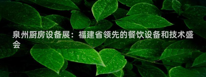 有人在凯时赢过钱吗：泉州厨房设备展：福建省领先的餐饮设备和技