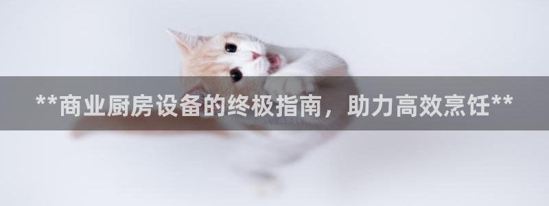 尊龙d88现金关注ag发财网：**商业厨房设备的终极指南，助