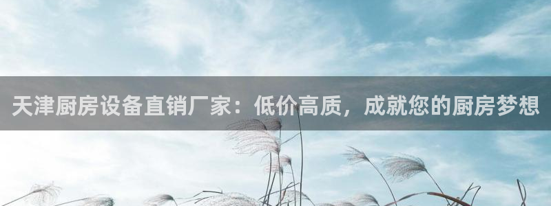 尊龙人生就是-首页：天津厨房设备直销厂家：低价高质，成就您的