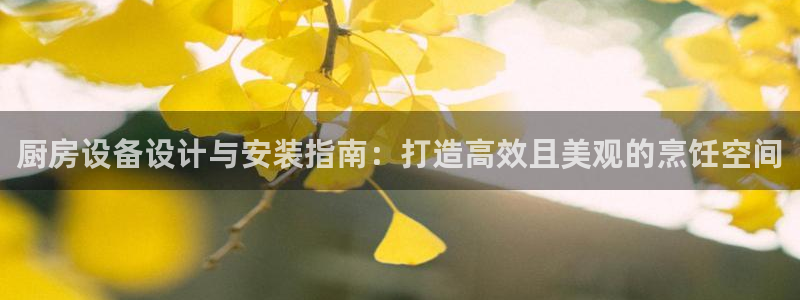z6尊龙凯时旗舰厅首页：厨房设备设计与安装指南：打造高效且美
