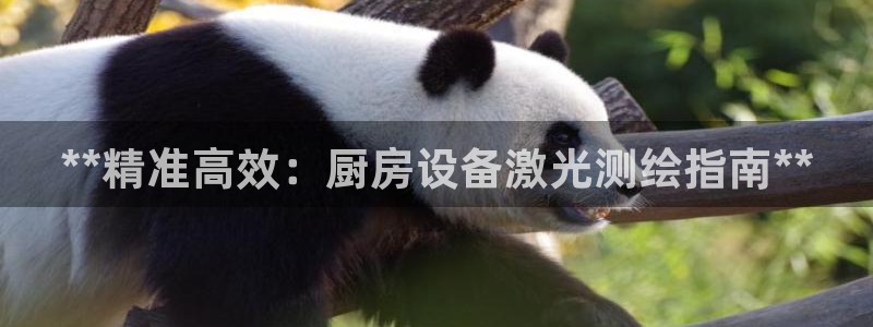 尊龙凯时法充十万返现多少：**精准高效：厨房设备激光测绘指南
