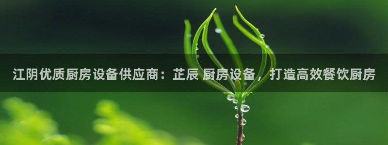 尊龙凯时网站网址：江阴优质厨房设备供应商：芷辰 厨房设备，打