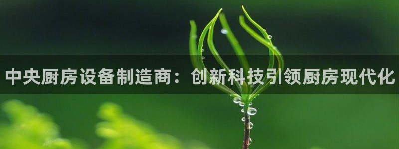 尊龙凯时下载官方正版
