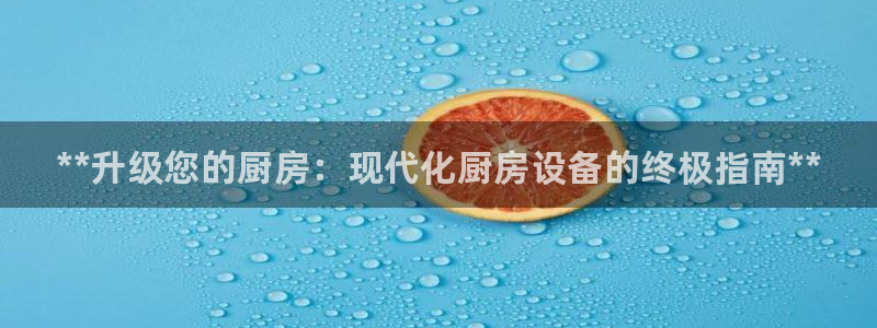 尊龙手机客户端app：**升级您的厨房：现代化厨房设备的终极