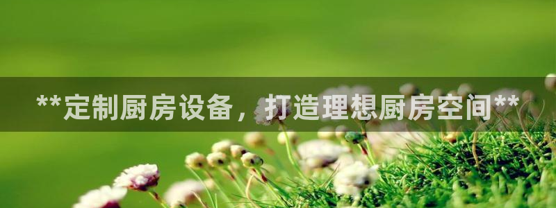 尊龙官方网站最新版V9.3.06介绍：*