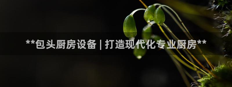 d88尊龙官网手机app：**包头厨房设备 | 打造现代化专