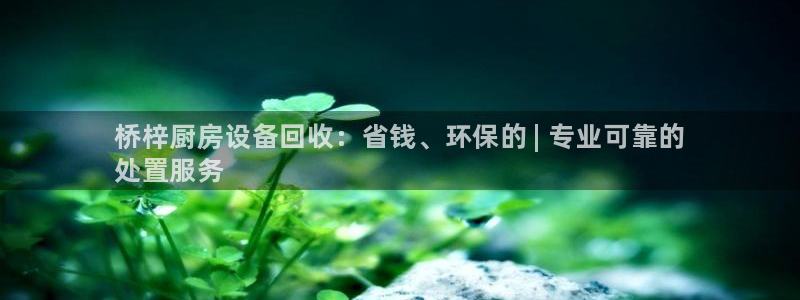 尊龙凯时存款多久到账：桥梓厨房设备回收：