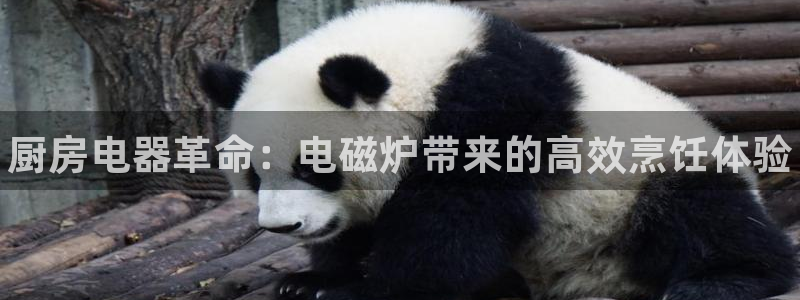 尊龙人生就是博网站下载：