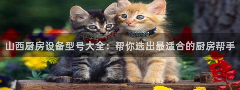 尊龙凯时下载人生就是博：