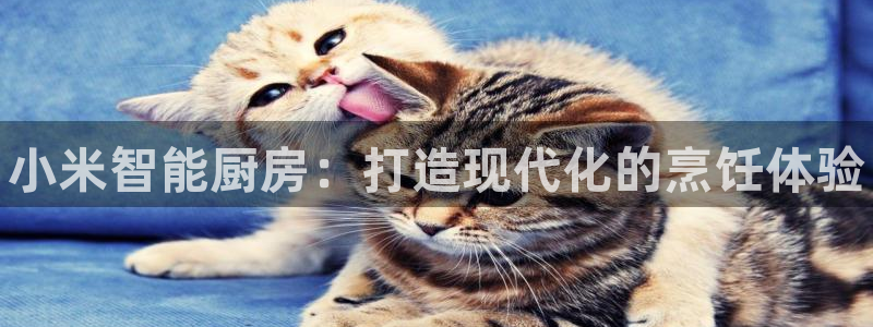 凯时登录首页,凯时K66：小米智能厨房：打造现代化的烹饪体验