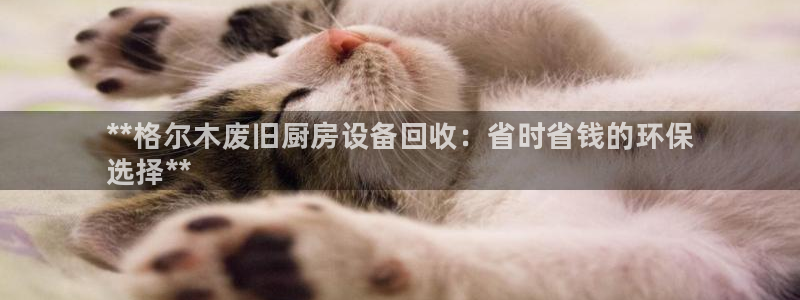 尊龙官网：**格尔木废旧