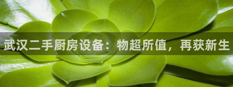 尊龙d88官网登录下载：武汉二手厨房设备